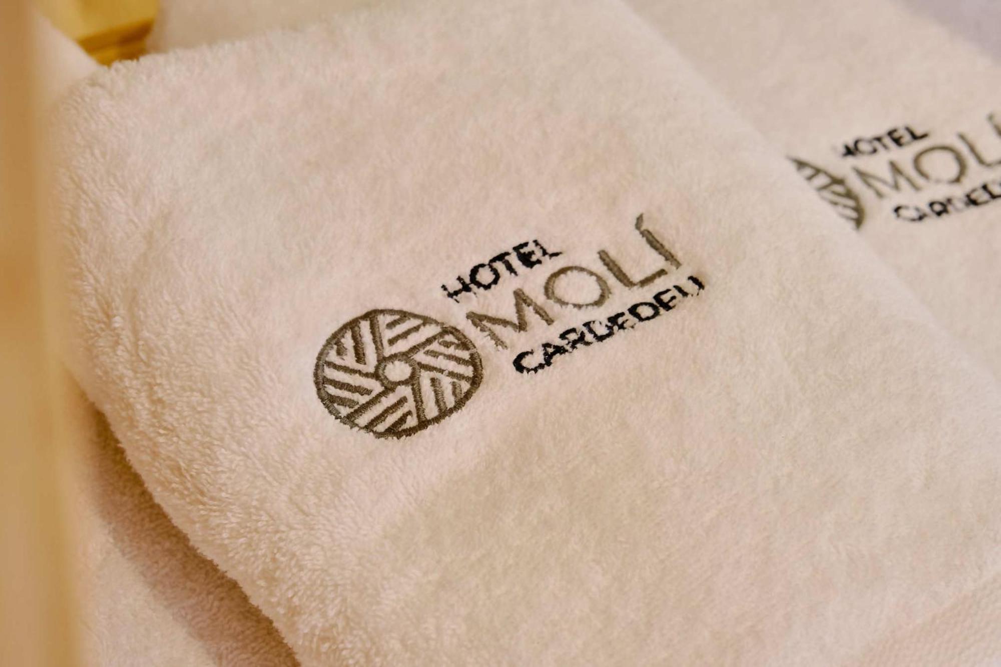Hotel Moli Cardedeu